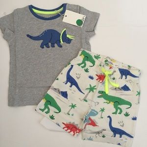 Mini Boden Dino Outfit